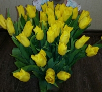 тюльпаны 8.03